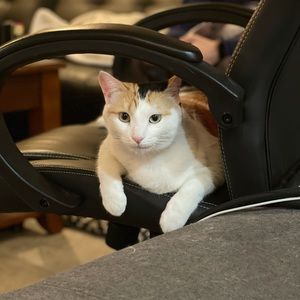 Meet your Posher, Aki